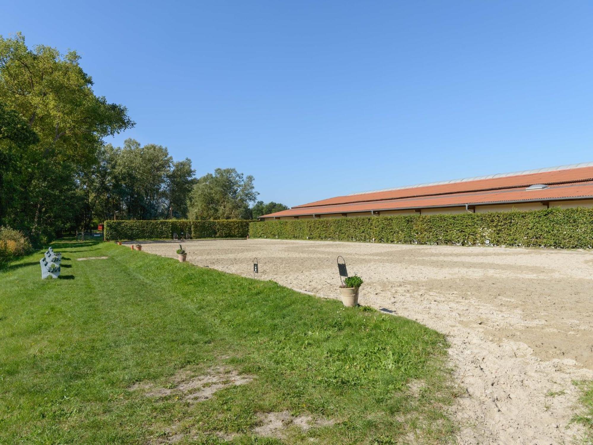 Cozy Holiday Home On A Horse Farm In The L Neburg Heath Eschede Kültér fotó