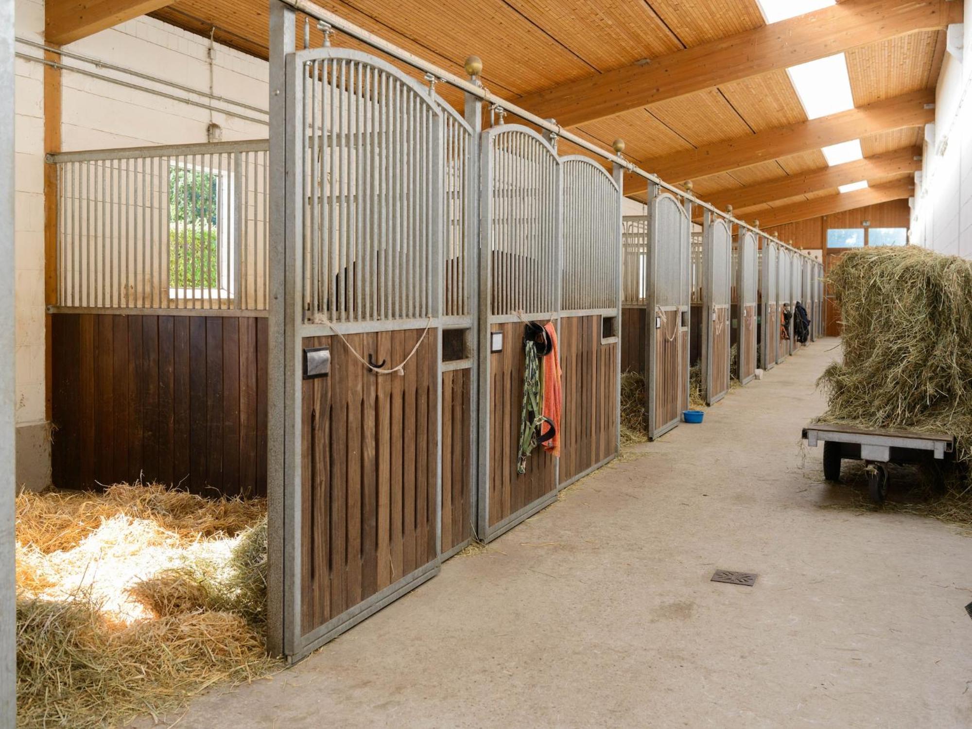 Cozy Holiday Home On A Horse Farm In The L Neburg Heath Eschede Kültér fotó