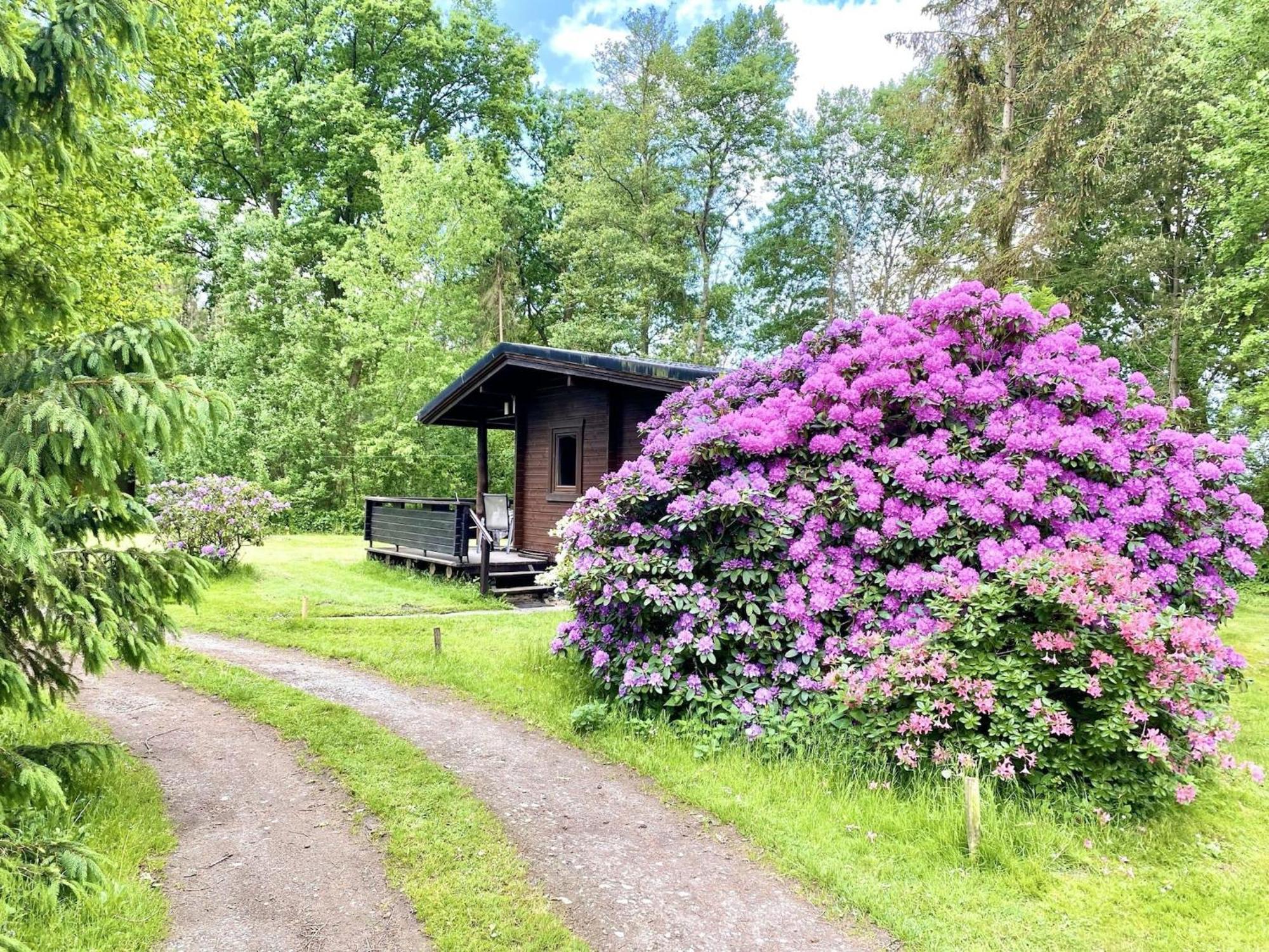 Cozy Holiday Home On A Horse Farm In The L Neburg Heath Eschede Kültér fotó