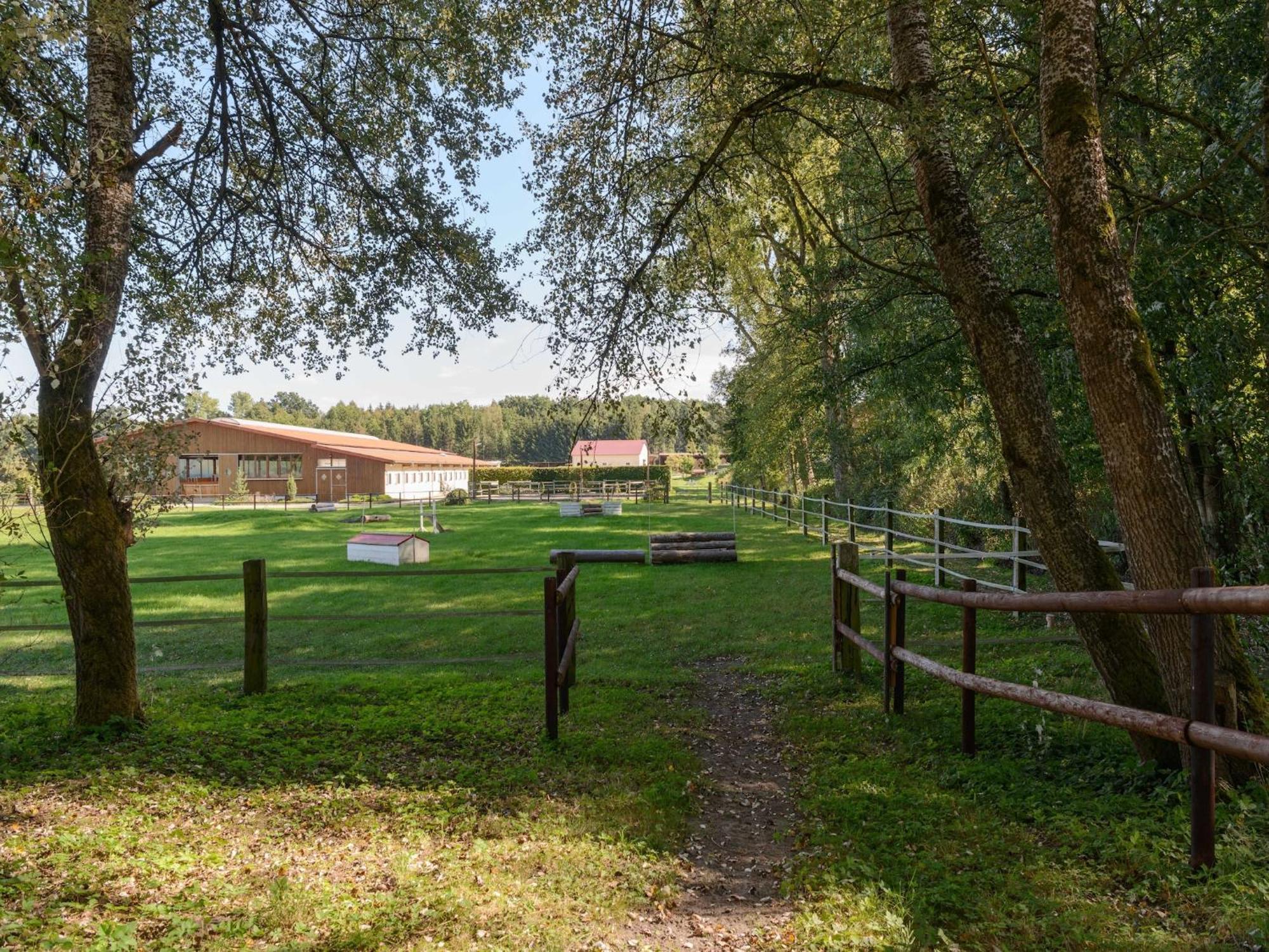 Cozy Holiday Home On A Horse Farm In The L Neburg Heath Eschede Kültér fotó