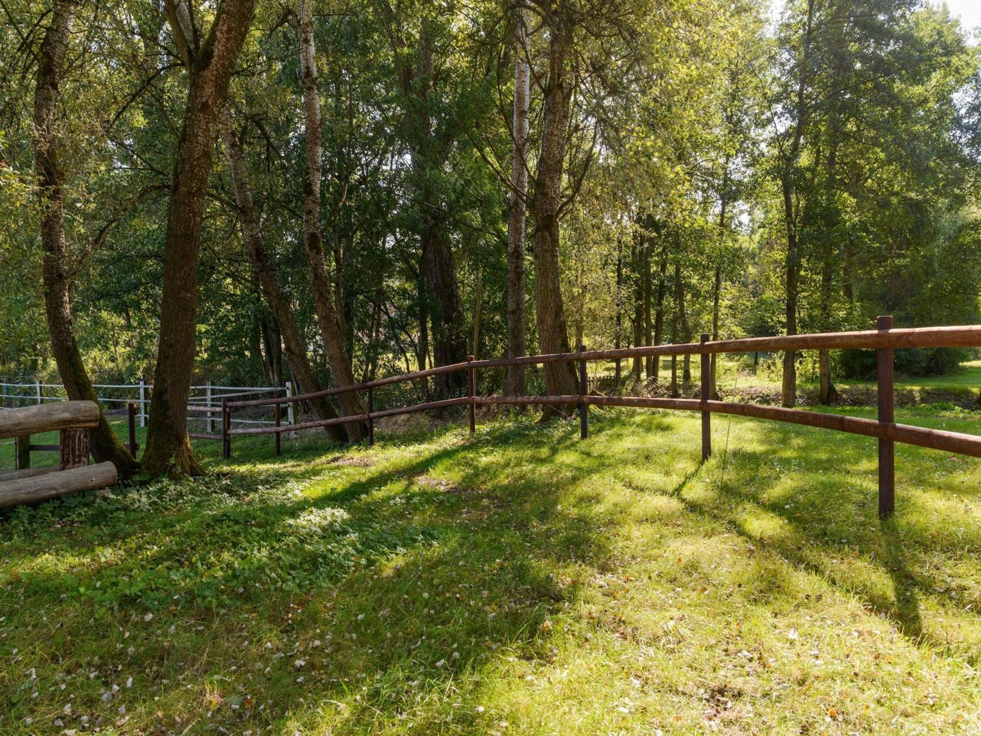 Cozy Holiday Home On A Horse Farm In The L Neburg Heath Eschede Kültér fotó
