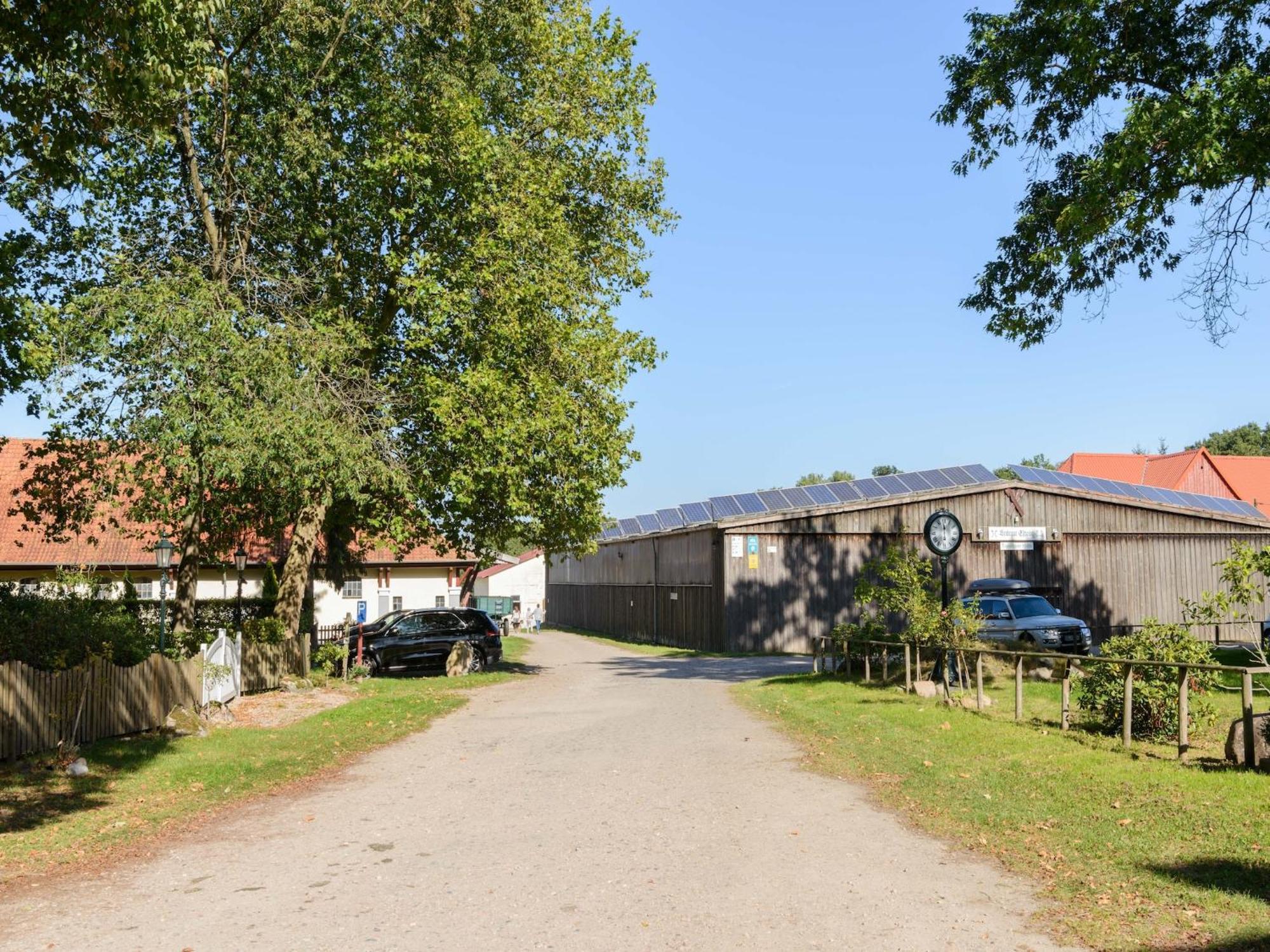 Cozy Holiday Home On A Horse Farm In The L Neburg Heath Eschede Kültér fotó