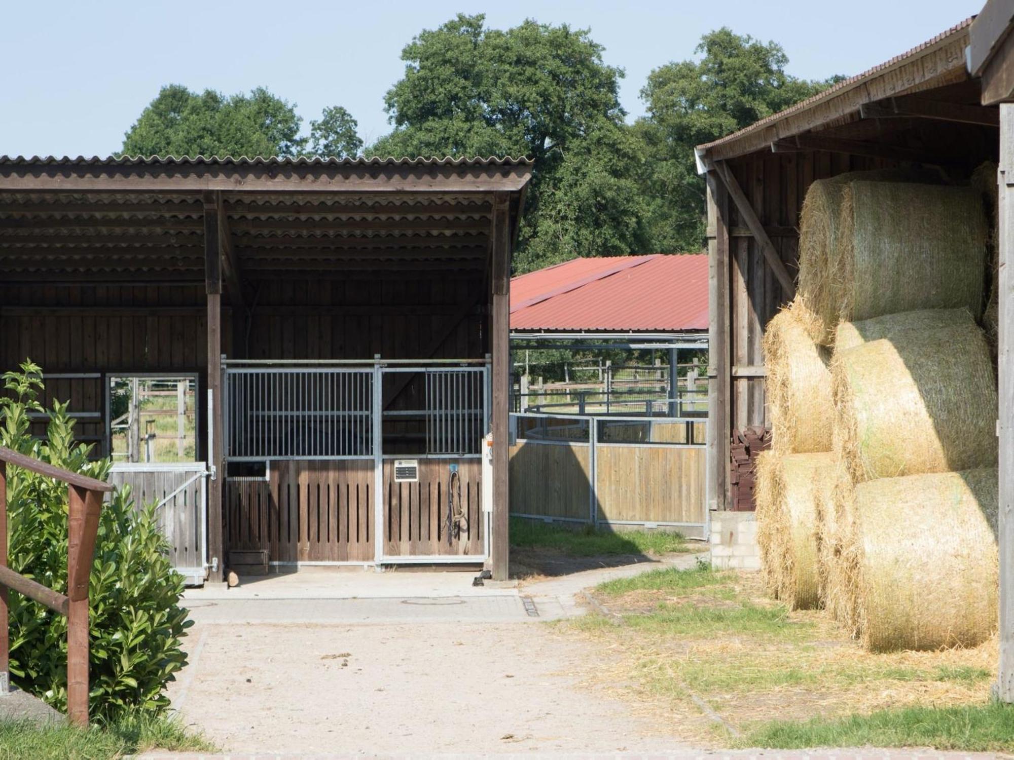 Cozy Holiday Home On A Horse Farm In The L Neburg Heath Eschede Kültér fotó